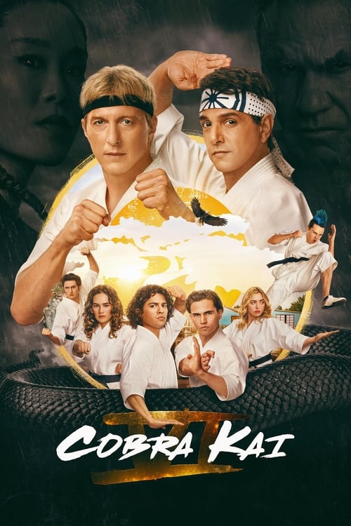 Cobra Kai : 1.Sezon 3.Bölüm İzle